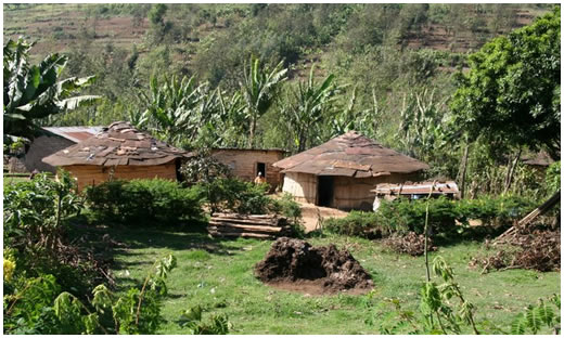 ng'iresi village, the boma with man at the centre and two wifes with their respective bomas on the right and left